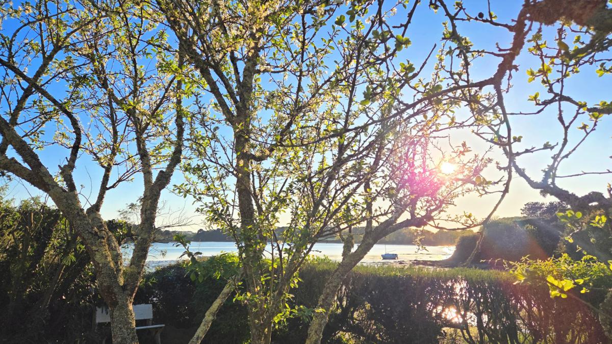 Vue mer sur le Golfe maison jardin terrasse