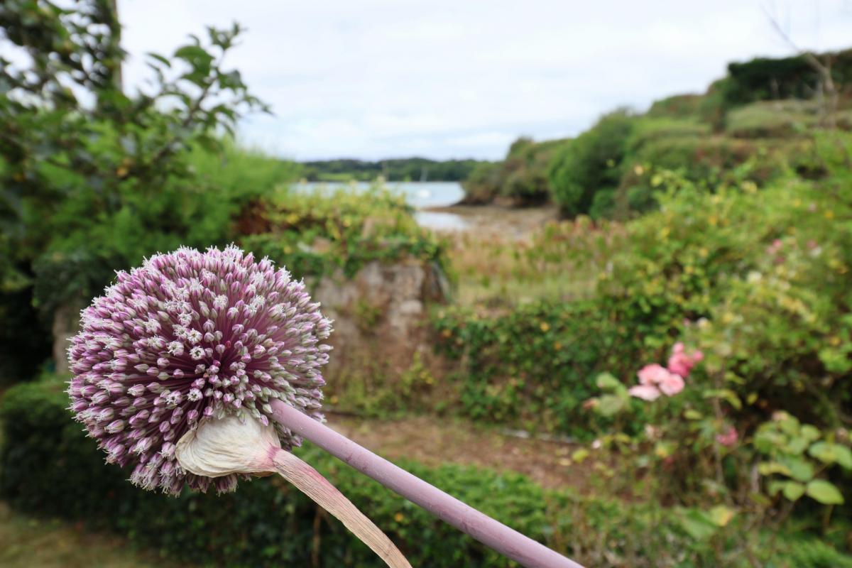 Vue mer sur le Golfe maison jardin terrasse