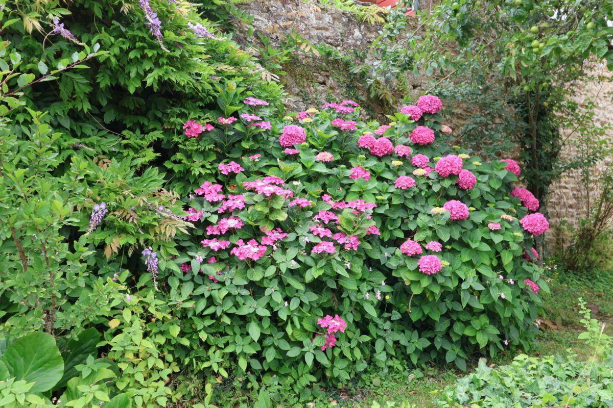 Vue mer sur le Golfe maison jardin terrasse