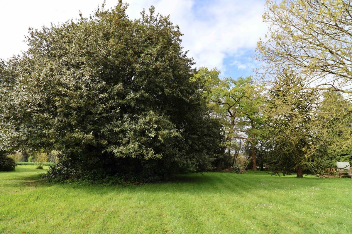 Campagne longère et dépendances possible gîte 