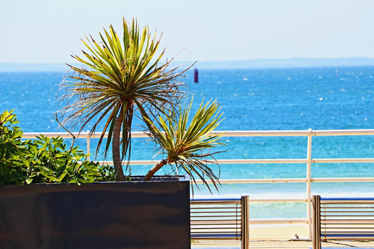 Quiberon Grande Plage quartier Port Maria Chanard