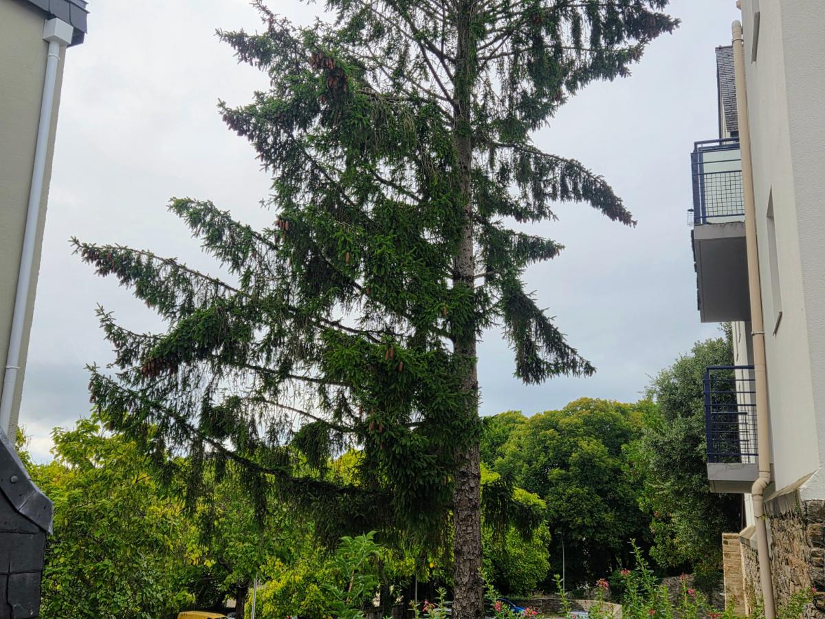 Centre appartement T4 balcon + parking couvert sécurisé