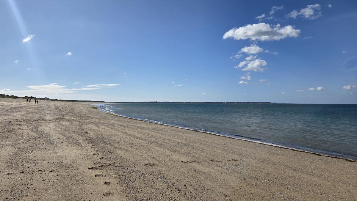 Appartement 1 ch terrasse jardinet cave garage 