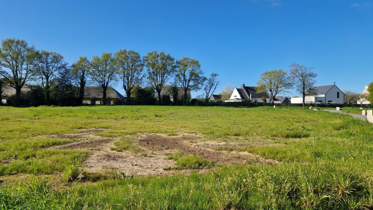 Terrain borné viabilisé 449m2 à construire centre à pied