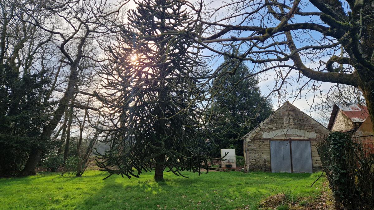 Campagne longère et dépendances possible gîte 