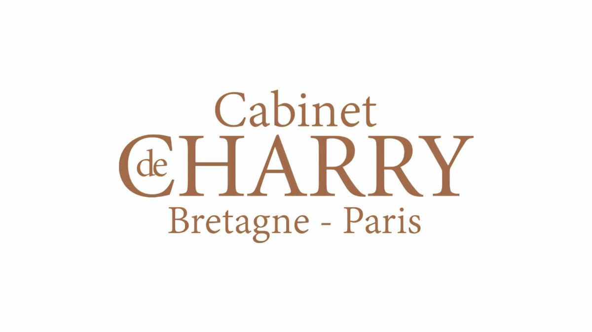 Vue dégagée appartement ancien rénové 3 ch