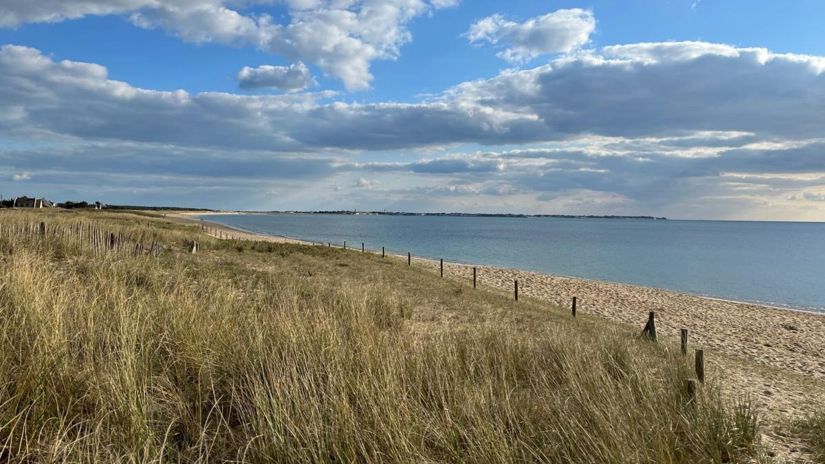 Appartement 1 ch terrasse jardinet cave garage 