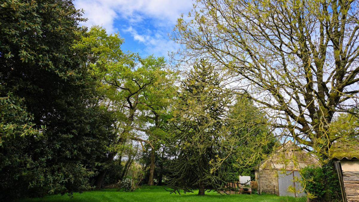 Campagne longère et dépendances possible gîte 