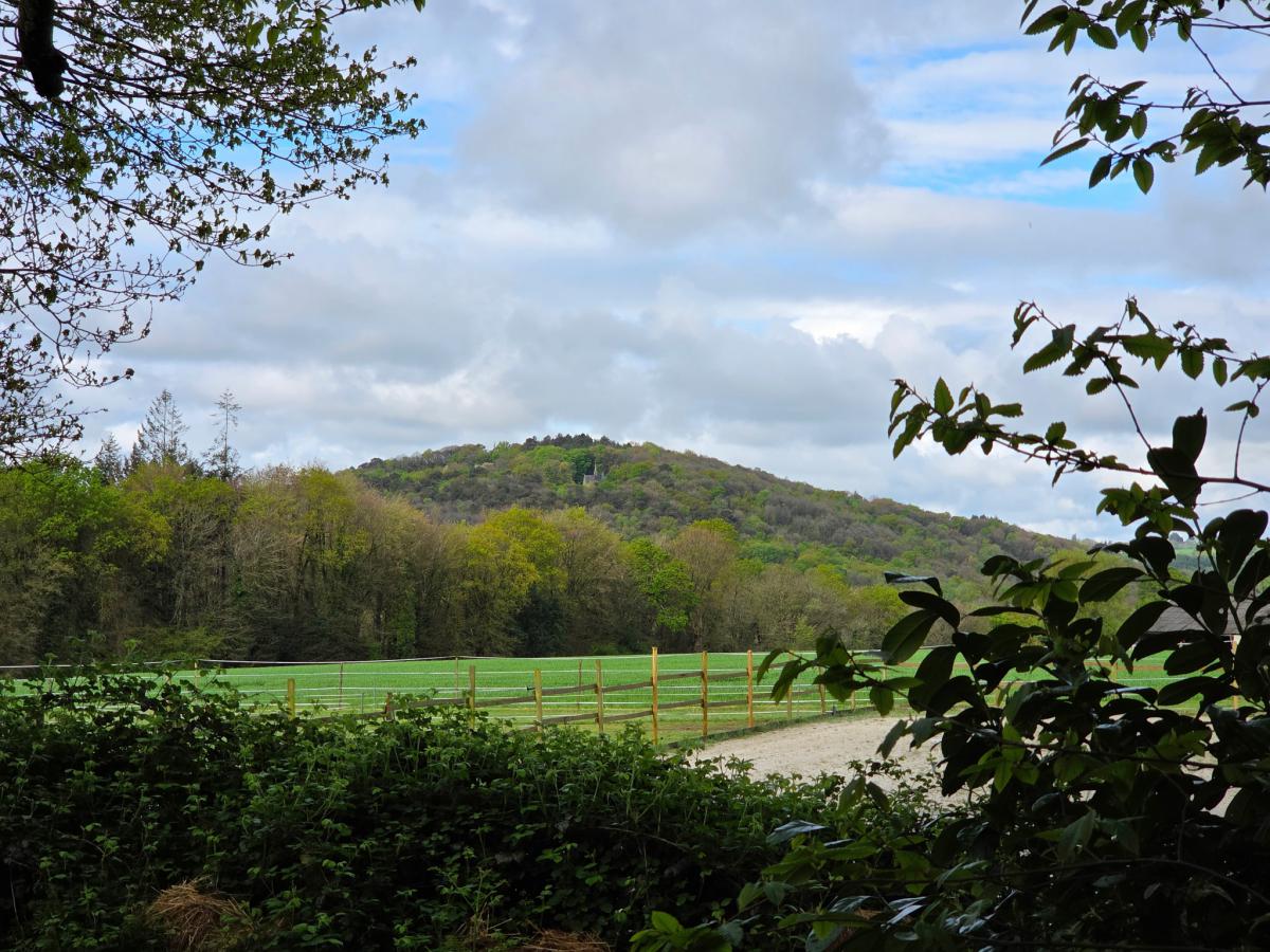Campagne longère et dépendances possible gîte 