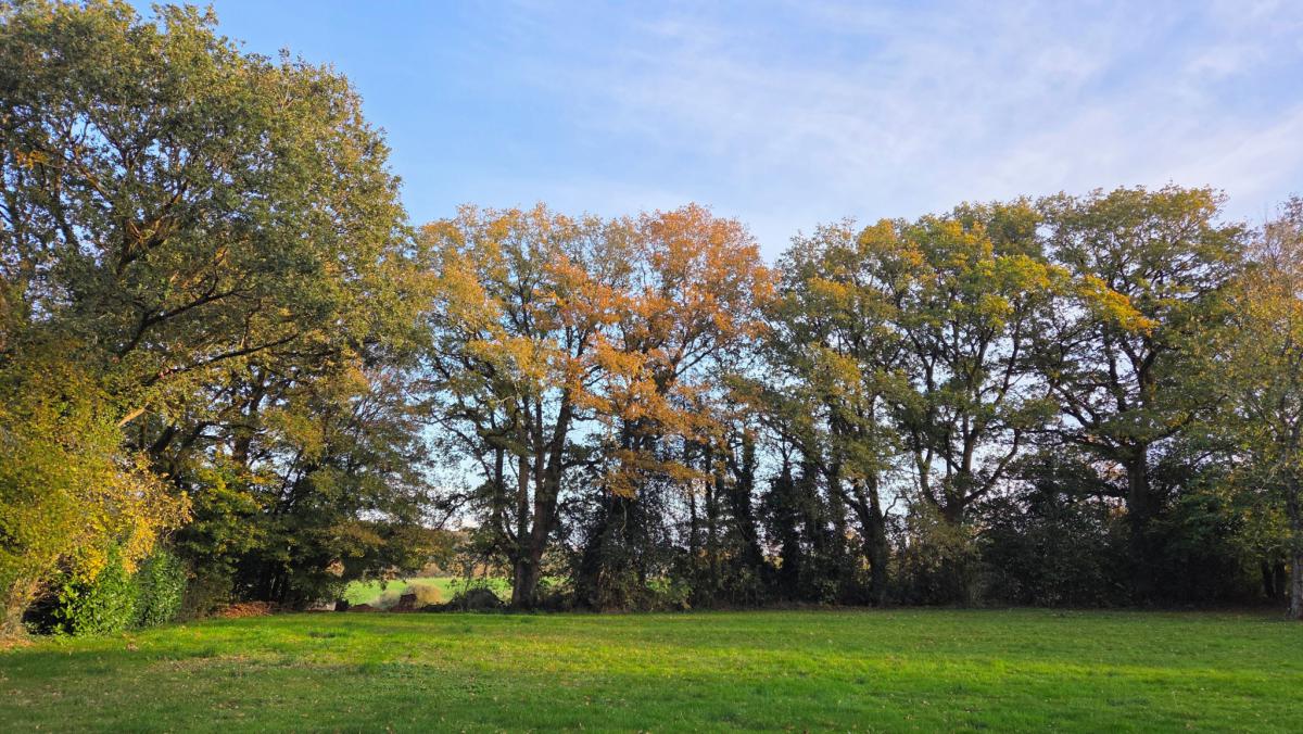 Campagne maison de famille piscine et dépendance