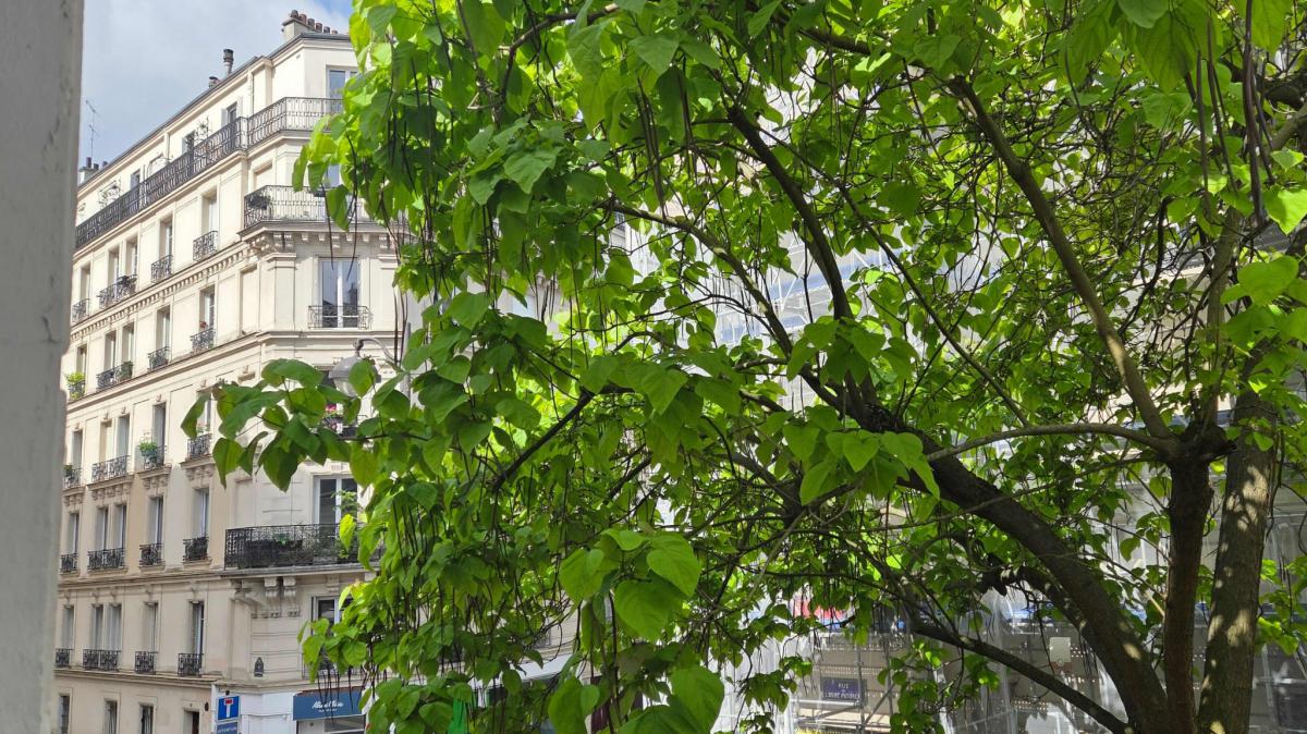 Montmartre appartement rénové 2 ch + cave