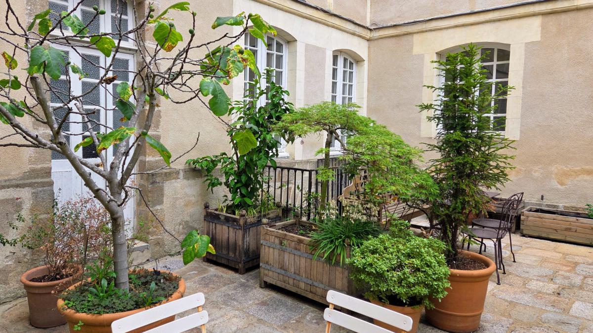Appartement ancien 2 chambres cave cour-terrasse 