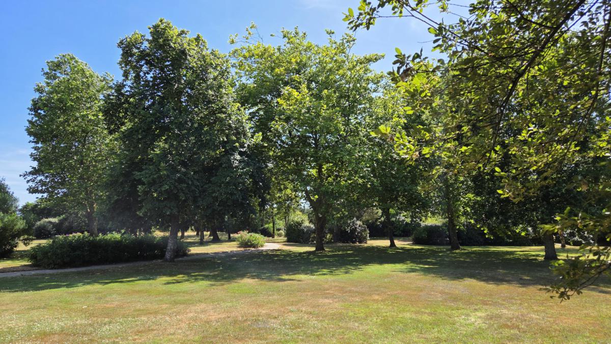 Maison contemporaine jardin plage direct